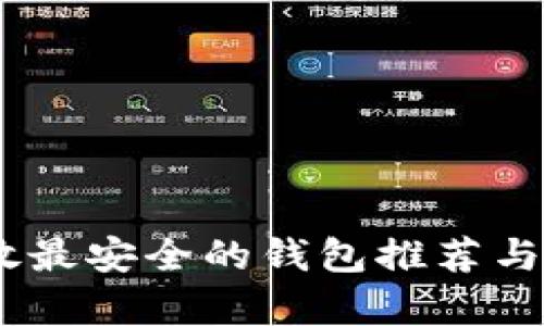 USDT存放最安全的钱包推荐与安全指南
