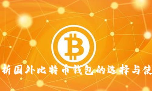 全面解析国外比特币钱包的选择与使用指南