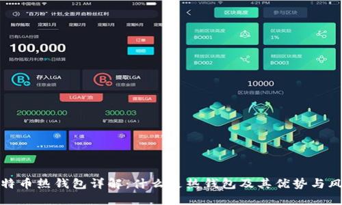 比特币热钱包详解：什么是热钱包及其优势与风险