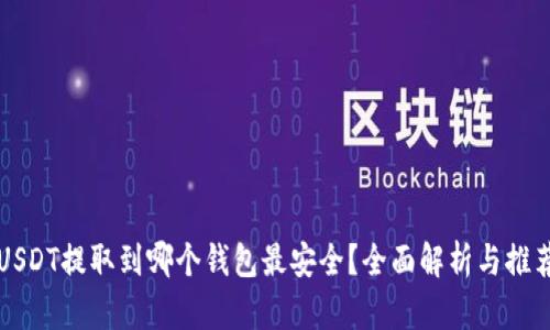 USDT提取到哪个钱包最安全？全面解析与推荐