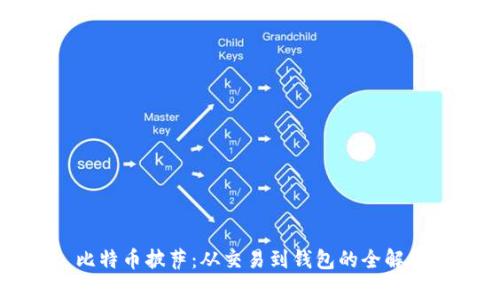 比特币披萨：从交易到钱包的全解析