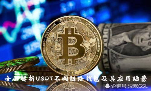 全面解析USDT不同链路钱包及其应用场景