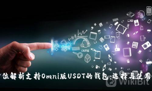 全方位解析支持Omni版USDT的钱包：选择与使用指南