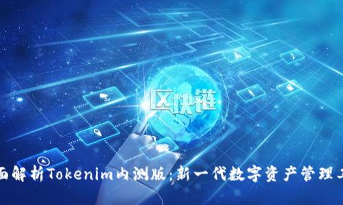 全面解析Tokenim内测版：新一代数字资产管理工具