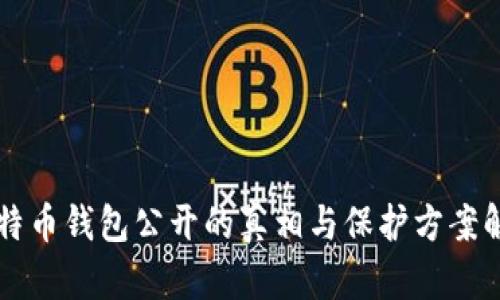 比特币钱包公开的真相与保护方案解析