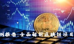 Tokenim安全检测报告：全面解析区块链项目的安全