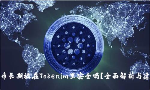 把币长期放在Tokenim里安全吗？全面解析与建议