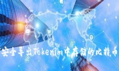 如何安全导出Tokenim中存储的比特币私钥