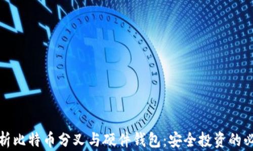 
全面解析比特币分叉与硬件钱包：安全投资的必备知识