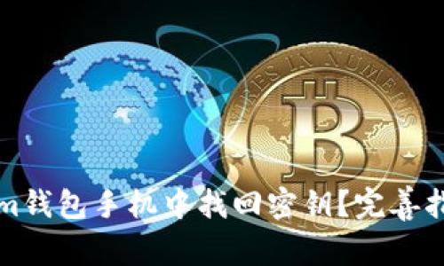 如何在Tokenim钱包手机中找回密钥？完善指南与实用技巧