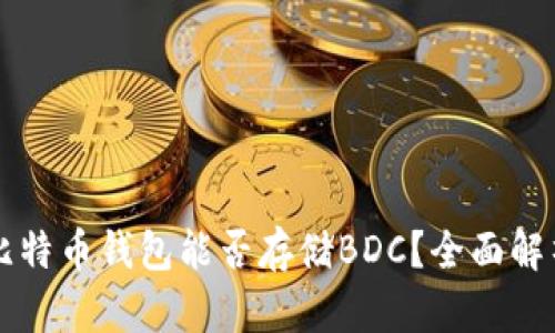 比特币钱包能否存储BDC？全面解析