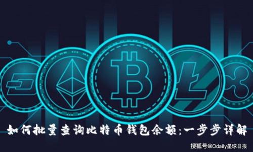 如何批量查询比特币钱包余额：一步步详解