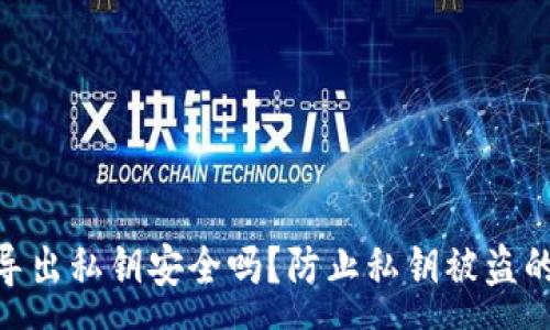 :
Tokenim导出私钥安全吗？防止私钥被盗的有效对策