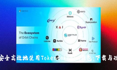 : 如何安全高效地使用Tokentokenim钱包：下载与功能详解