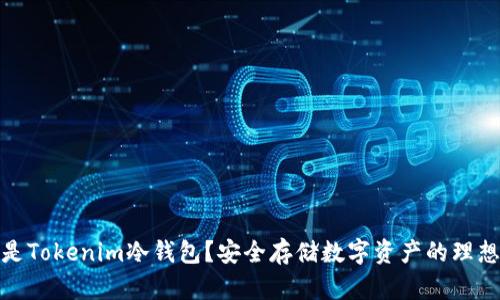 什么是Tokenim冷钱包？安全存储数字资产的理想选择