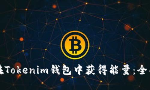 如何在Tokenim钱包中获得能量：全面指南