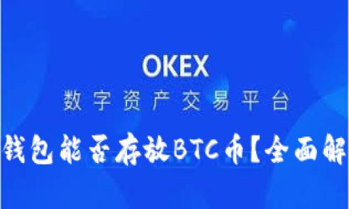 Tokenim钱包能否存放BTC币？全面解析与指南