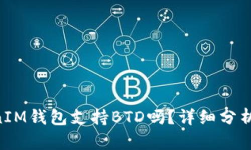 TokenTokenIM钱包支持BTD吗？详细分析与使用指南