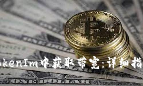 如何在TokenIm中获取带宽：详细指南与技巧