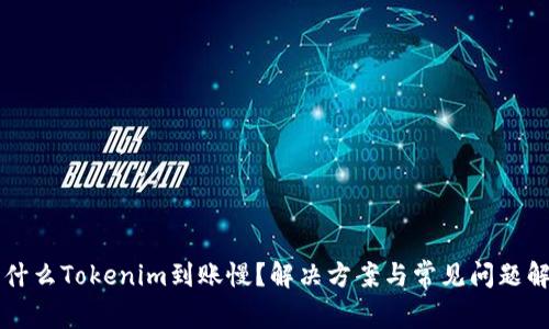 为什么Tokenim到账慢？解决方案与常见问题解析