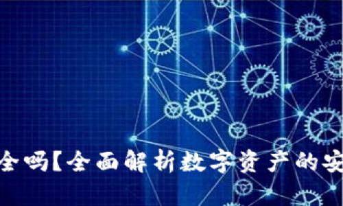 钱放Tokenim安全吗？全面解析数字资产的安全性与风险管理