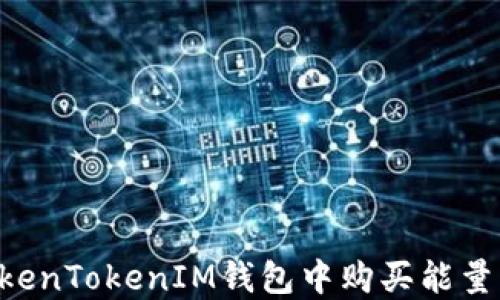 
如何在TokenTokenIM钱包中购买能量：详细指南