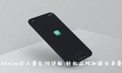 Tokenim矿工费支付详解：轻