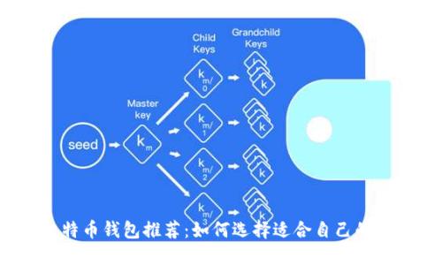 2023年比特币钱包推荐：如何选择适合自己的比特币钱包