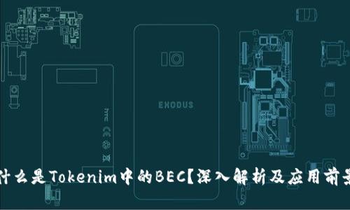 什么是Tokenim中的BEC？深入解析及应用前景