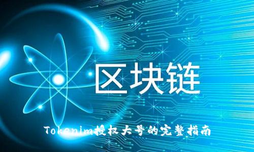 Tokenim授权大号的完整指南