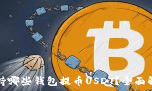   
火币网支持哪些钱包提币USDT？全面解析与指导