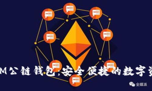 了解TokenIM公链钱包：安全便捷的数字资产管理工具