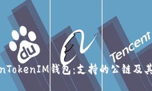 探索TokenTokenIM钱包：支持的公链及其功能详解