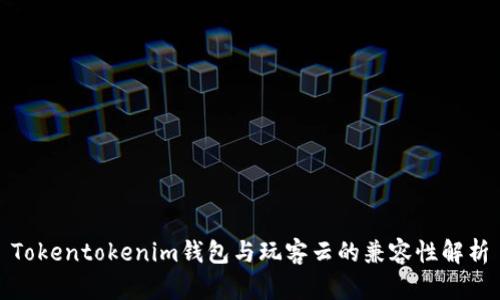 Tokentokenim钱包与玩客云的兼容性解析