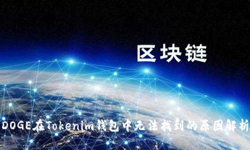 DOGE在Tokenim钱包中无法找到的原因解析