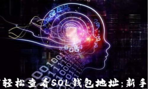 
如何轻松查看SOL钱包地址：新手指南