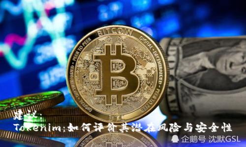 建议：
Tokenim：如何评价其潜在风险与安全性