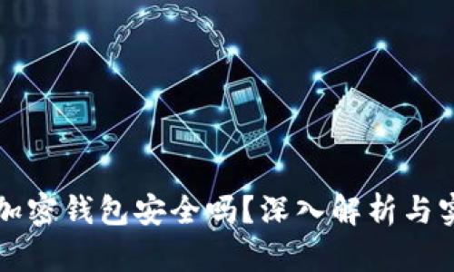 比特币加密钱包安全吗？深入解析与实用指南