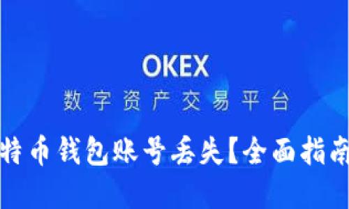 如何应对比特币钱包账号丢失？全面指南与解决方案