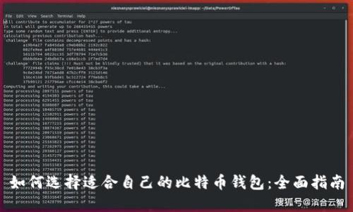 如何选择适合自己的比特币钱包：全面指南