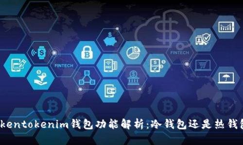 Tokentokenim钱包功能解析：冷钱包还是热钱包？