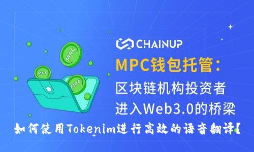 如何使用Tokenim进行高效的语音翻译？