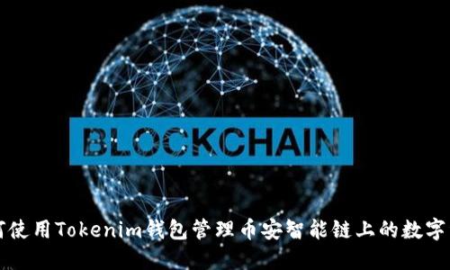 如何使用Tokenim钱包管理币安智能链上的数字资产