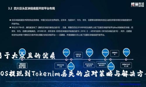 易于大众且的优质

EOS提现到Tokenim丢失的应对策略与解决方案