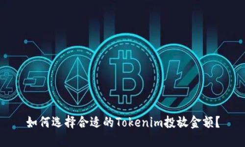 如何选择合适的Tokenim投放金额？