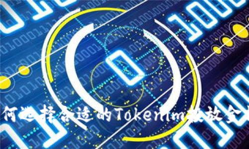 如何选择合适的Tokenim投放金额？