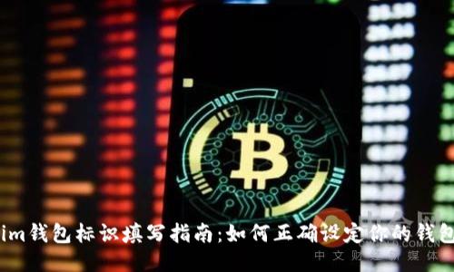 Tokenim钱包标识填写指南：如何正确设定你的钱包标识?