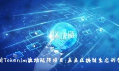 深入解析Tokenim波场矩阵项