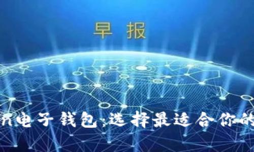 全面解析各种Token电子钱包：选择最适合你的数字资产管理方案