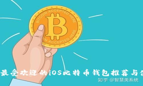 2023年最受欢迎的iOS比特币钱包推荐与使用指南